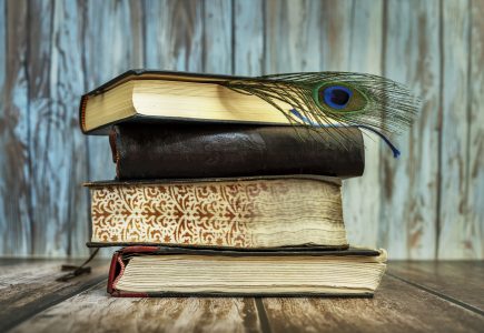 ma in hindi literature